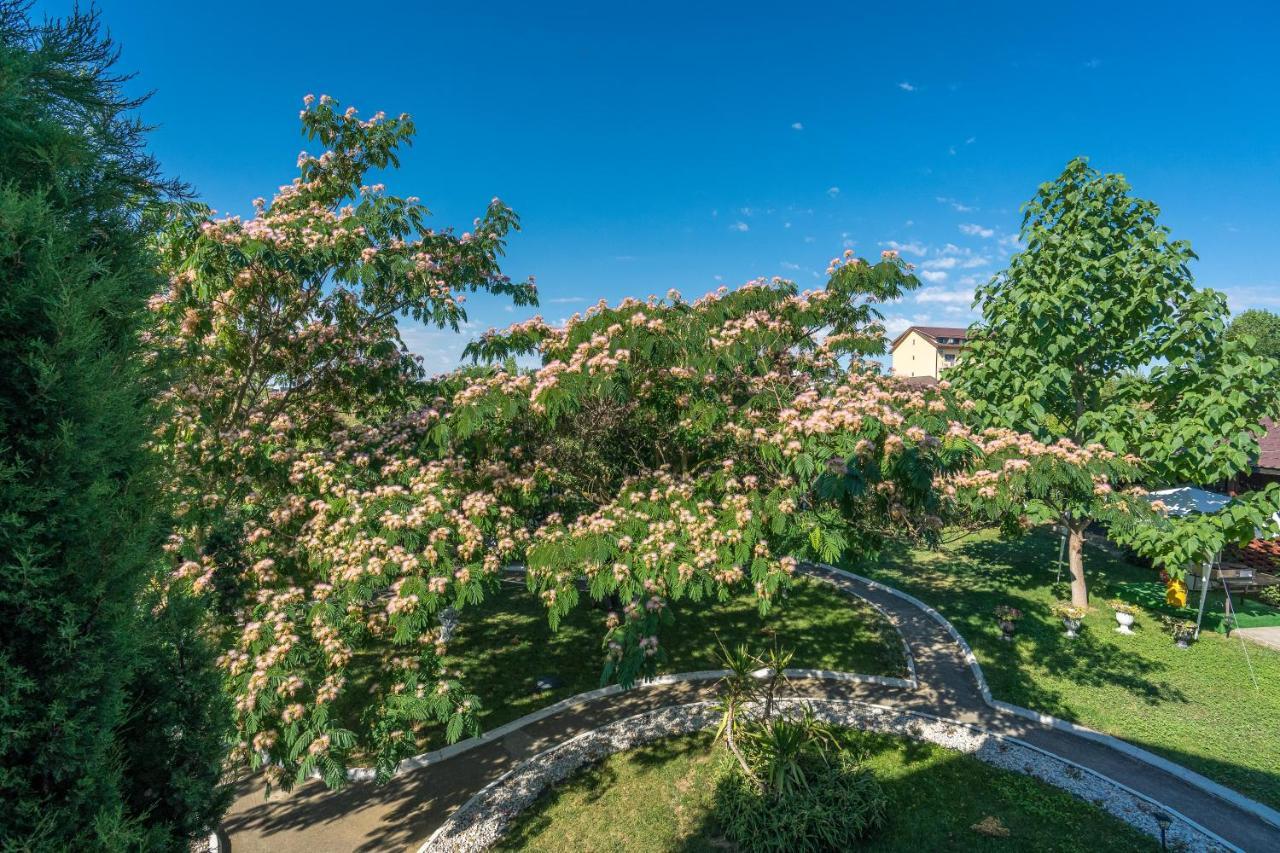 Vila Cataleya Venus Εξωτερικό φωτογραφία